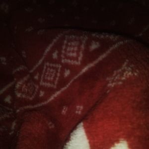 Meet your Posher, Braden